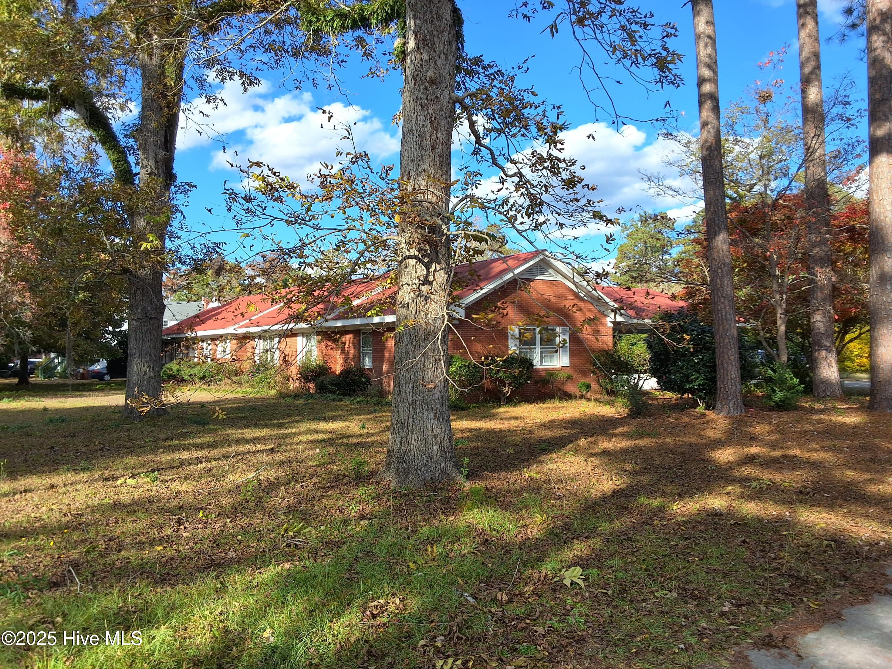 33 Gapway Road Fair Bluff, NC 28439 - Photo 4 of 108 1000003268