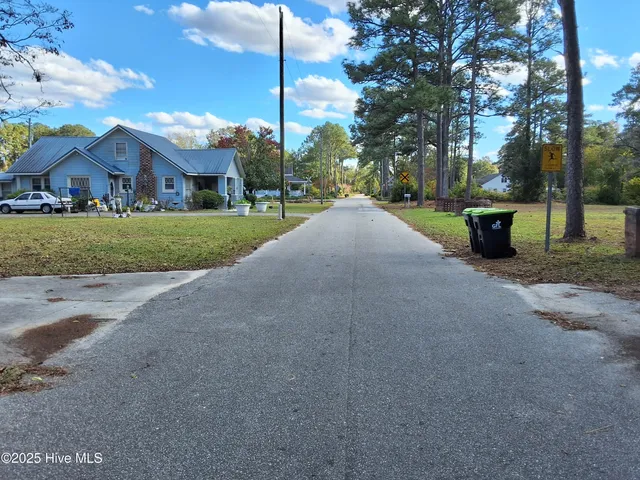 $315,000 | 33 Gapway Road, Fair Bluff, NC 28439