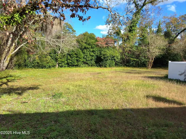 $315,000 | 33 Gapway Road, Fair Bluff, NC 28439