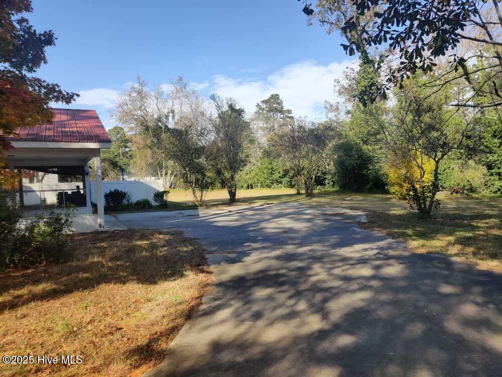 33 Gapway Road Fair Bluff, NC 28439 - Photo 98 of 108 1000020189