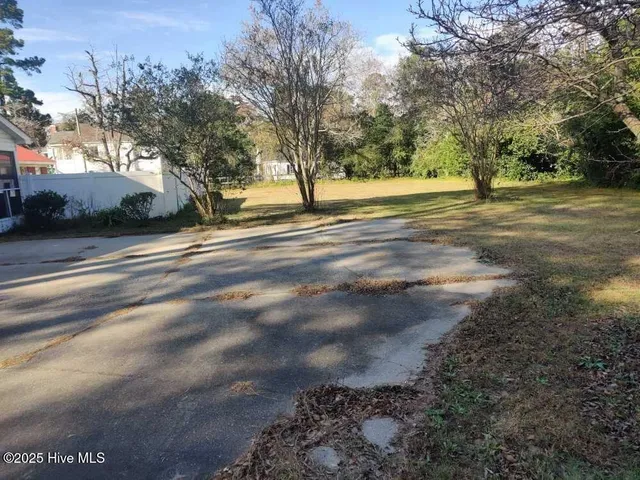 $315,000 | 33 Gapway Road, Fair Bluff, NC 28439