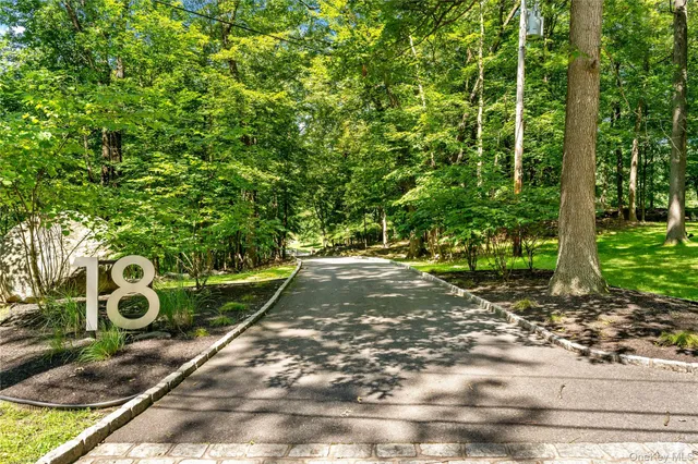 a view of a yard with plants