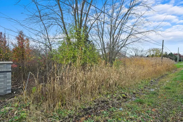 a view of yard with green space