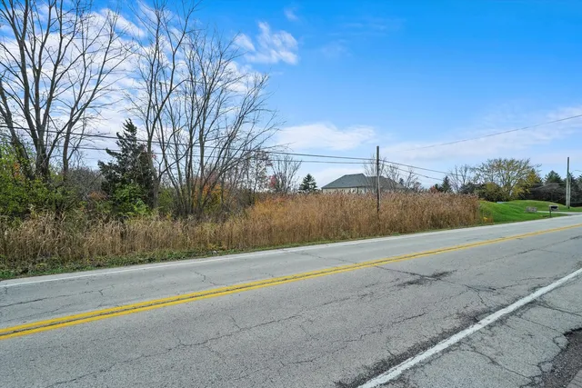 a view of a field with trees in the background
