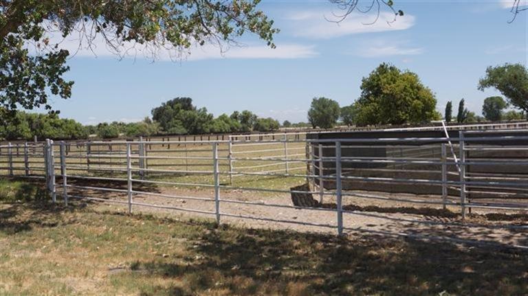 6565 24th Avenue Lemoore, CA 93245 - Photo 3 of 3