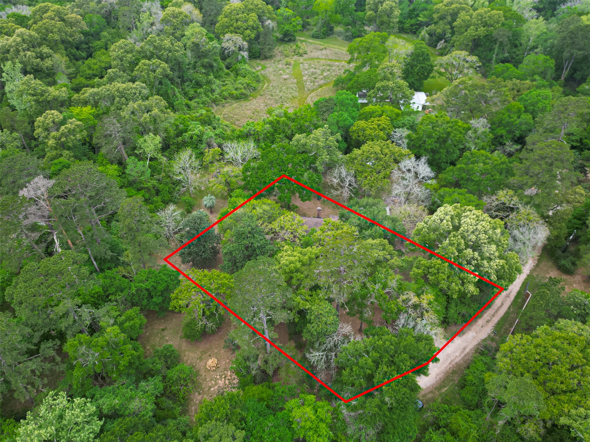 23607 Cardinal Drive Hockley, TX 77447 - Photo 47 of 50 A digitally outlined view from above highlights the property’s seclusion, nestled deep within a thicket of mature trees.