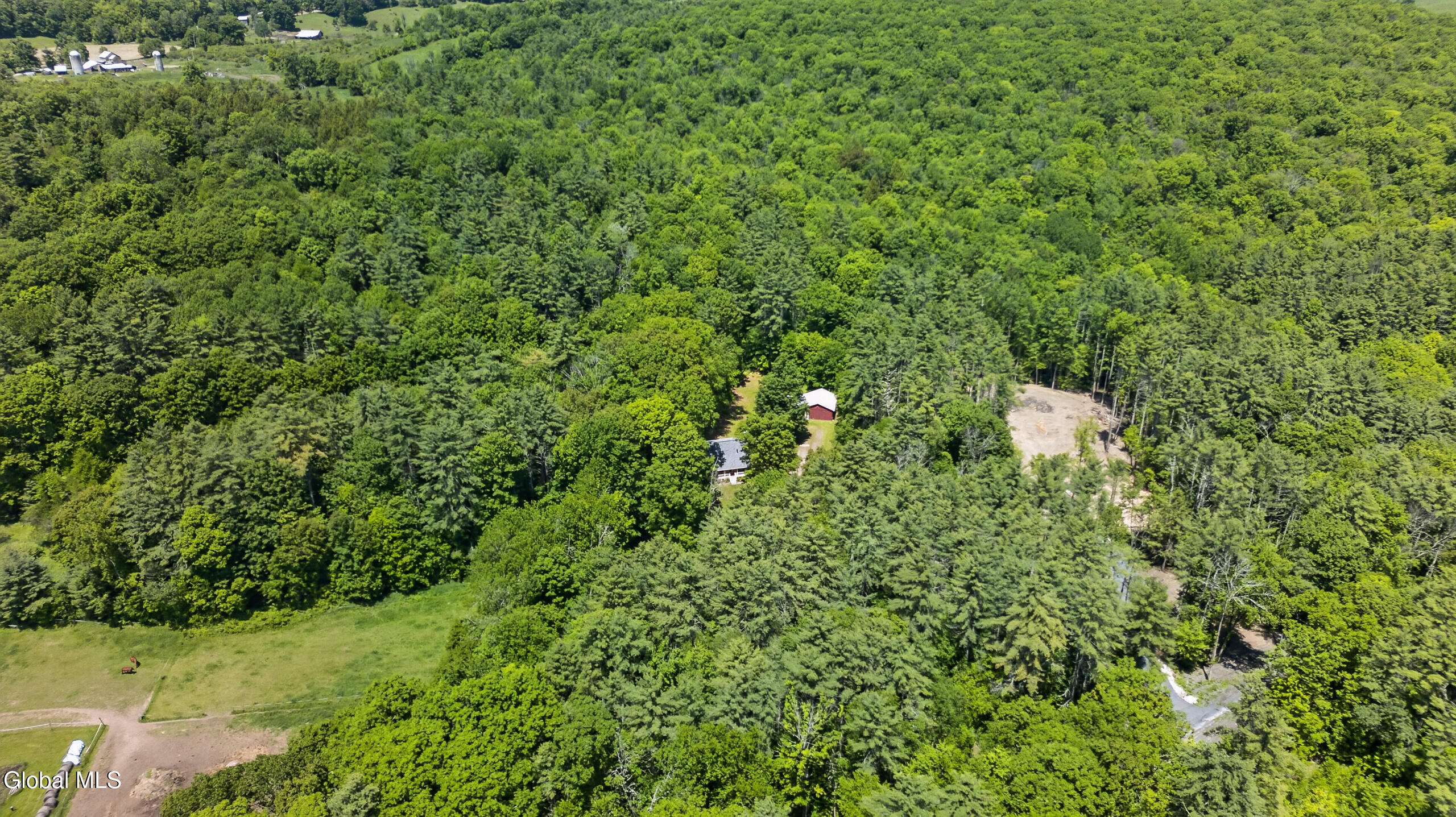 117 Kilmer Road Argyle, NY 12809 - Photo 43 of 50 Air Yard 1
