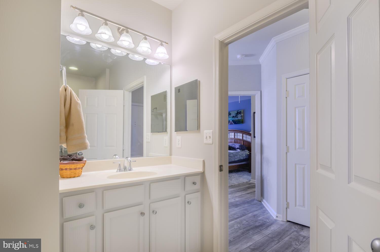 1515 North Point Drive, Unit 20201 Reston, VA 20194 - Photo 21 of 32 Second Dual Entry Bathroom