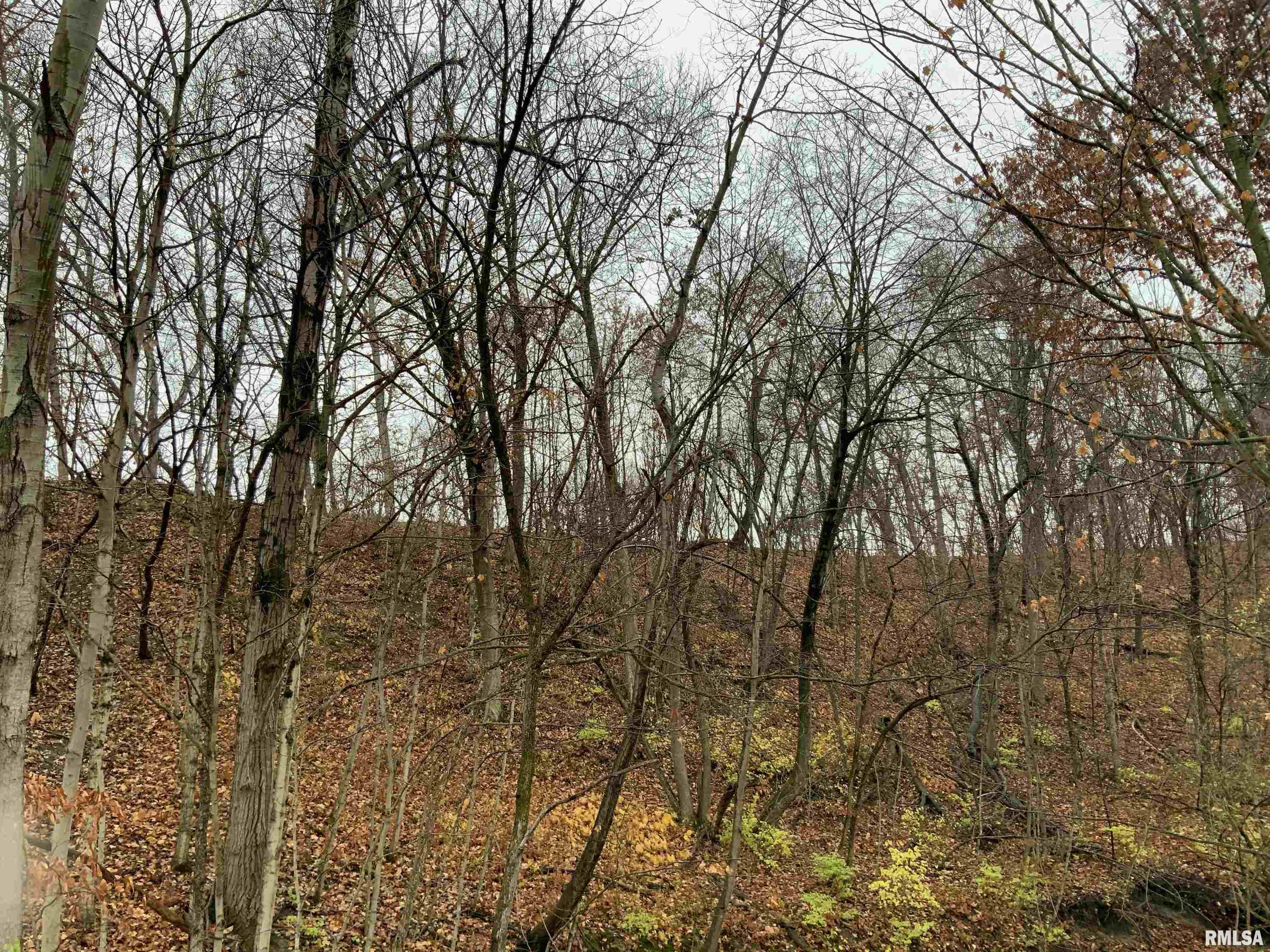 1393 Lacon Road Lacon, IL 61540 - Photo 12 of 12