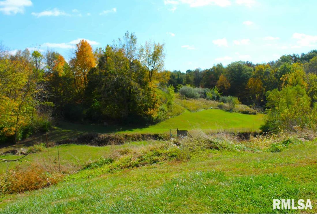 1393 Lacon Road Lacon, IL 61540 - Photo 2 of 12