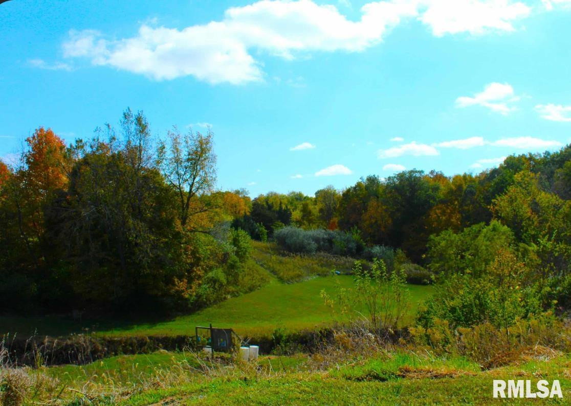 1393 Lacon Road Lacon, IL 61540 - Photo 3 of 12