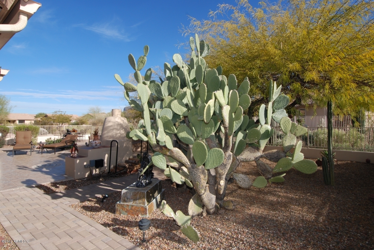 7548 Rugged Ironwood Road Gold Canyon, AZ 85118 - Photo 37 of 38 7548 back029 (5)