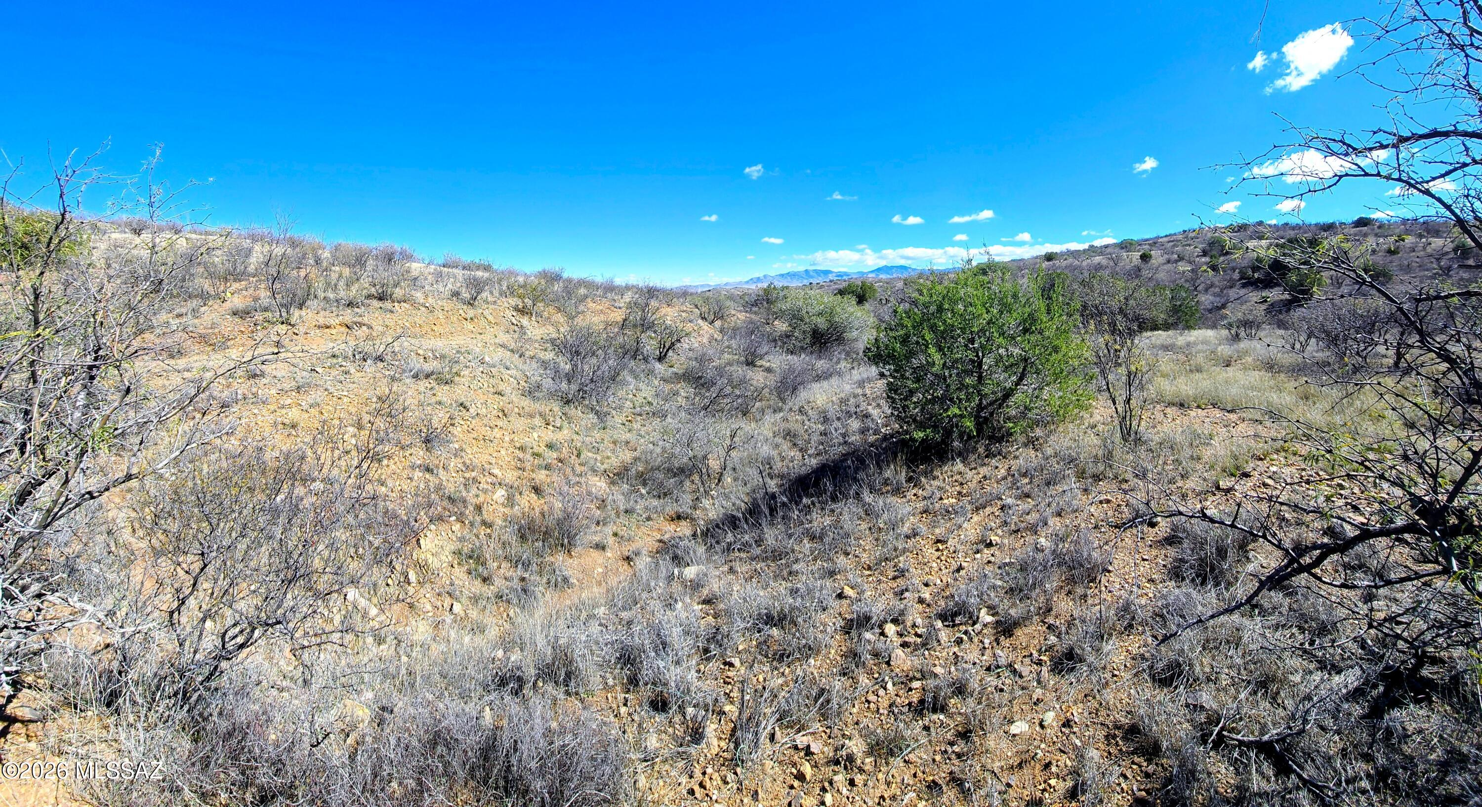 22200-blk South Red Cloud Mine Road South Vail, AZ 85641 - Photo 1 of 9