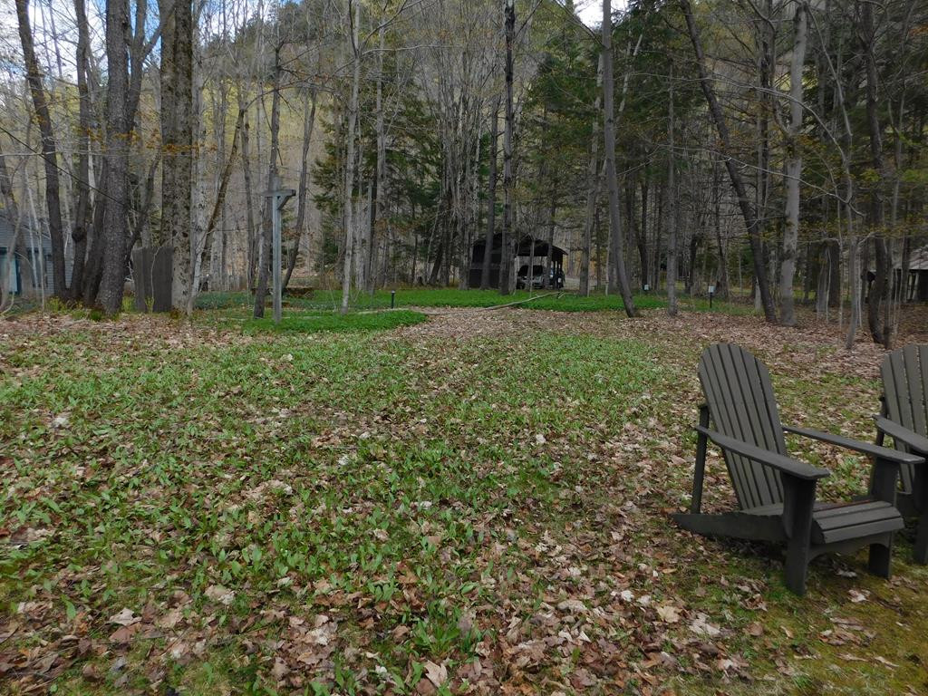 118 Train Wreck Point Road Old Forge, NY 13420 - Photo 17 of 17 Gallery Image 17