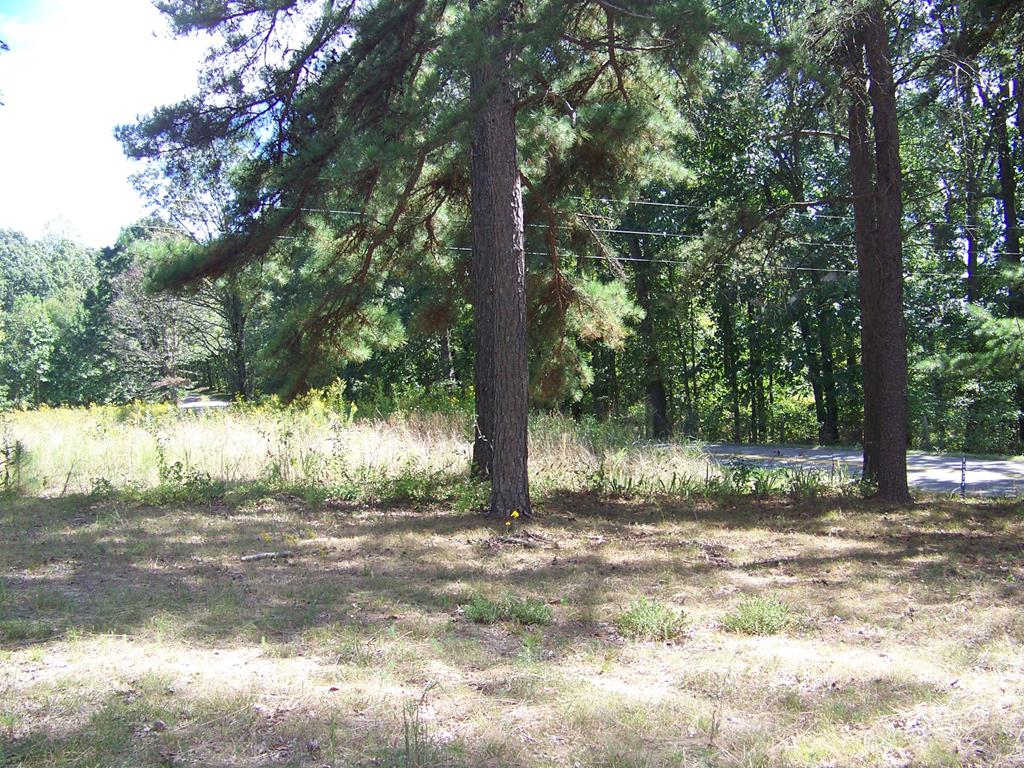 636 Francisco Road Farmville, VA 23901 - Photo 9 of 10 Gallery Image 9