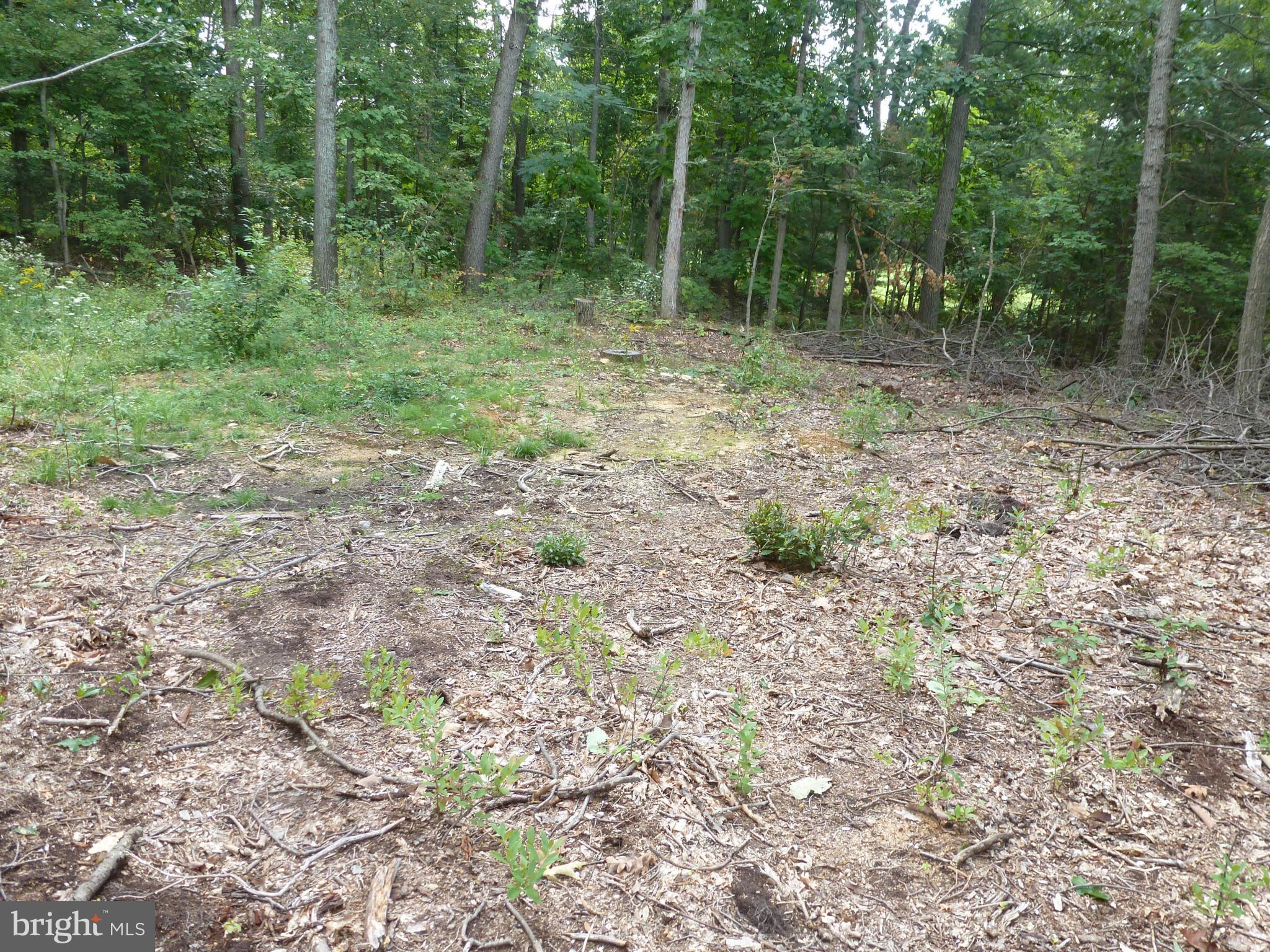 White House Road Shippensburg, PA 17257 - Photo 3 of 5 View