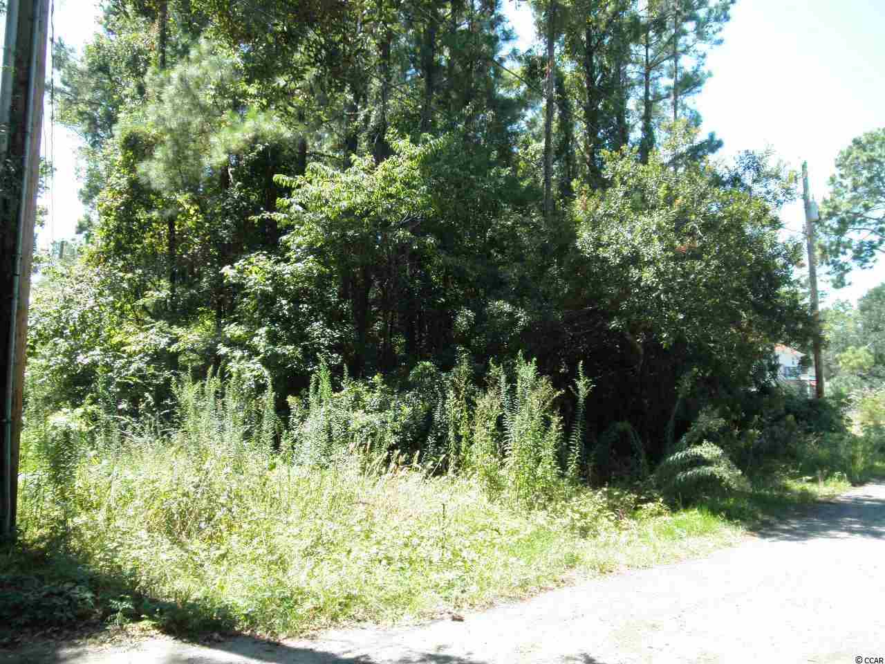 4542 Murrells Inlet Road Murrells Inlet, SC 29576 - Photo 3 of 5