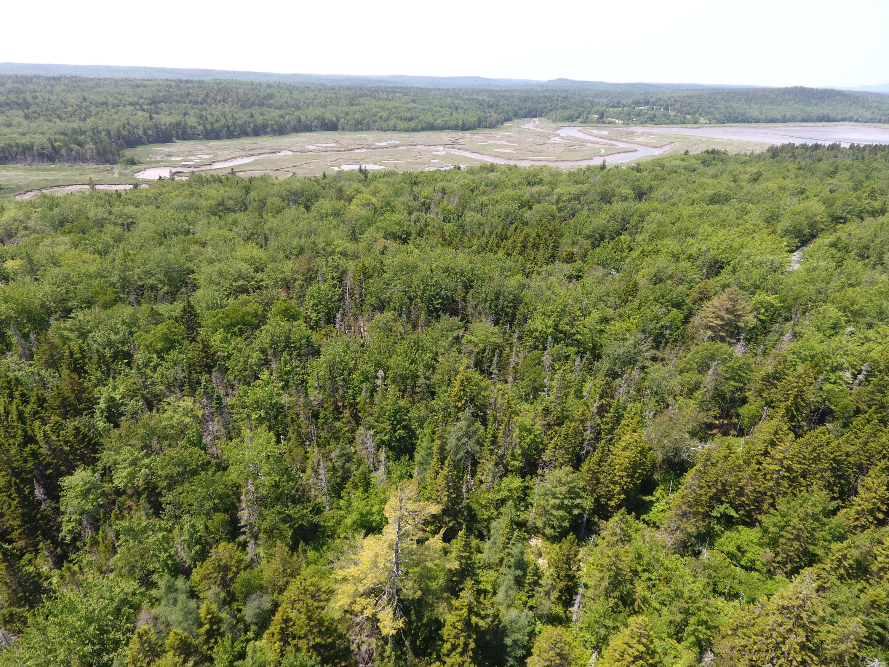 0 Grand Marsh Bay Road Corea, ME 04624 - Photo 6 of 10 DJI_0291