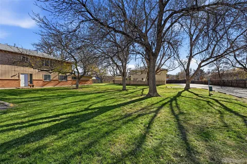 a view of a park with large trees