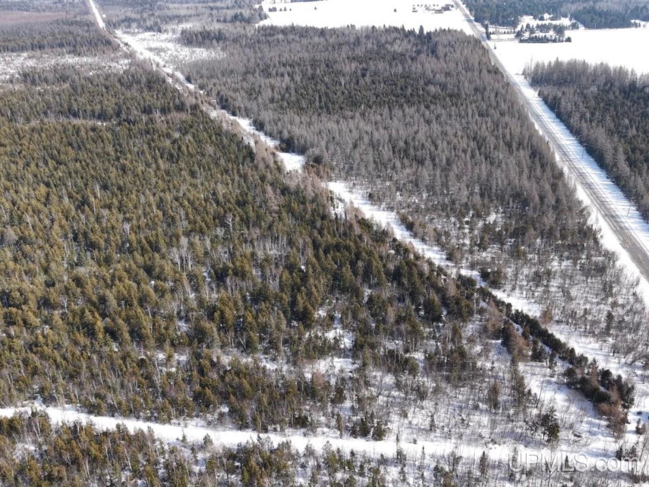 W 80-acres River Road Gulliver, MI 49840 - Photo 20 of 29
