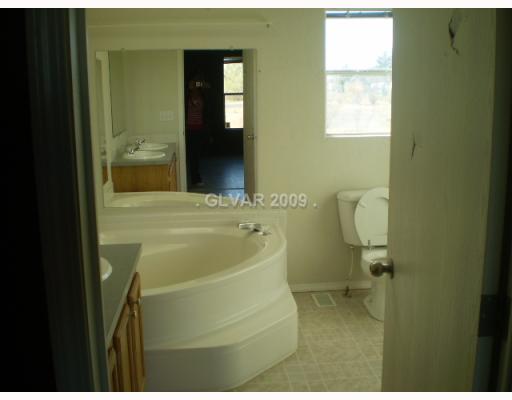1171 East Brian Road Pahrump, NV 89048 - Photo 6 of 11 Master Bath/Spa.