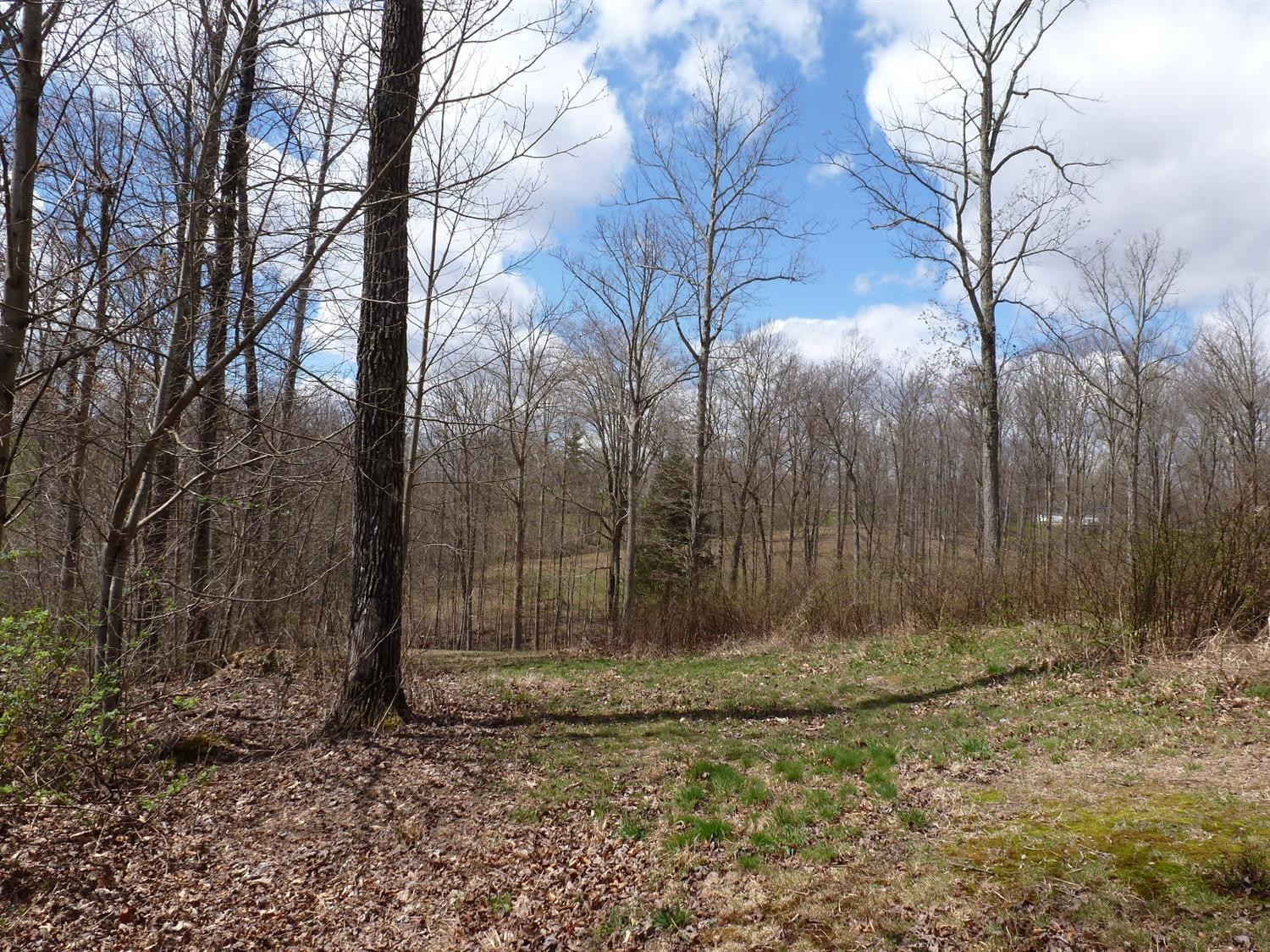 3821 Amos Ridge Road Frenchburg, KY 40322 - Photo 44 of 88 Photo 44