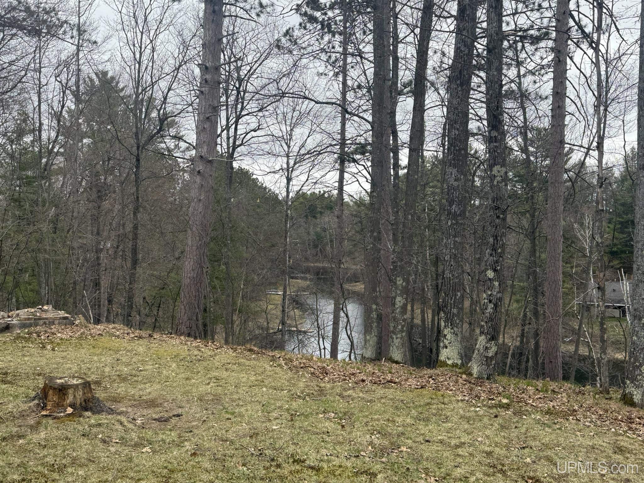 1345 Frog Lake Road North Florence, WI 54121 - Photo 8 of 11