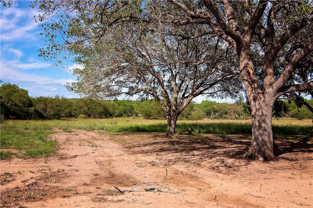 202 Ranch Road Mathis, TX 78368 - Photo 32 of 36 a view of backyard with green space