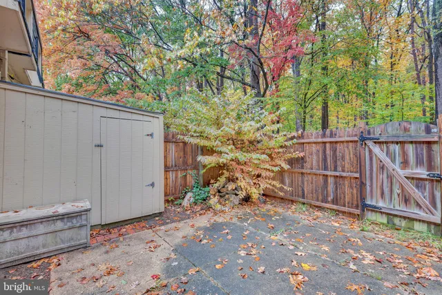 a view of a backyard with wooden fence and large trees