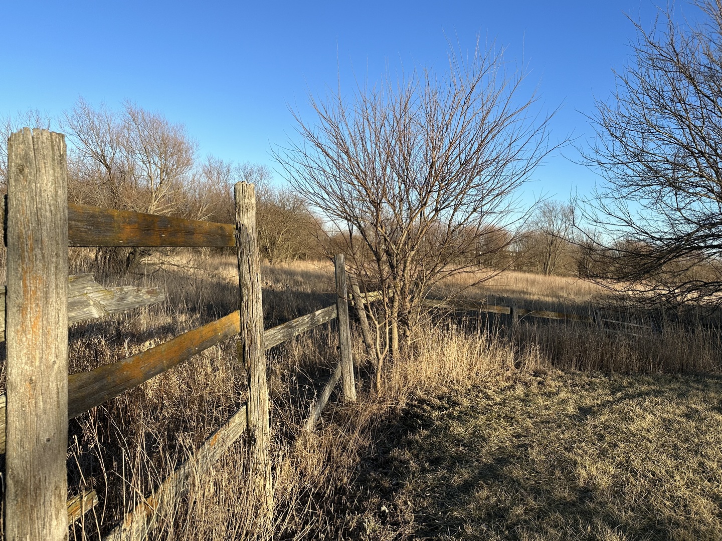 27257 South Scheer Road Manhattan, IL 60442 - Photo 33 of 41 a view of a lake with a tree in the background