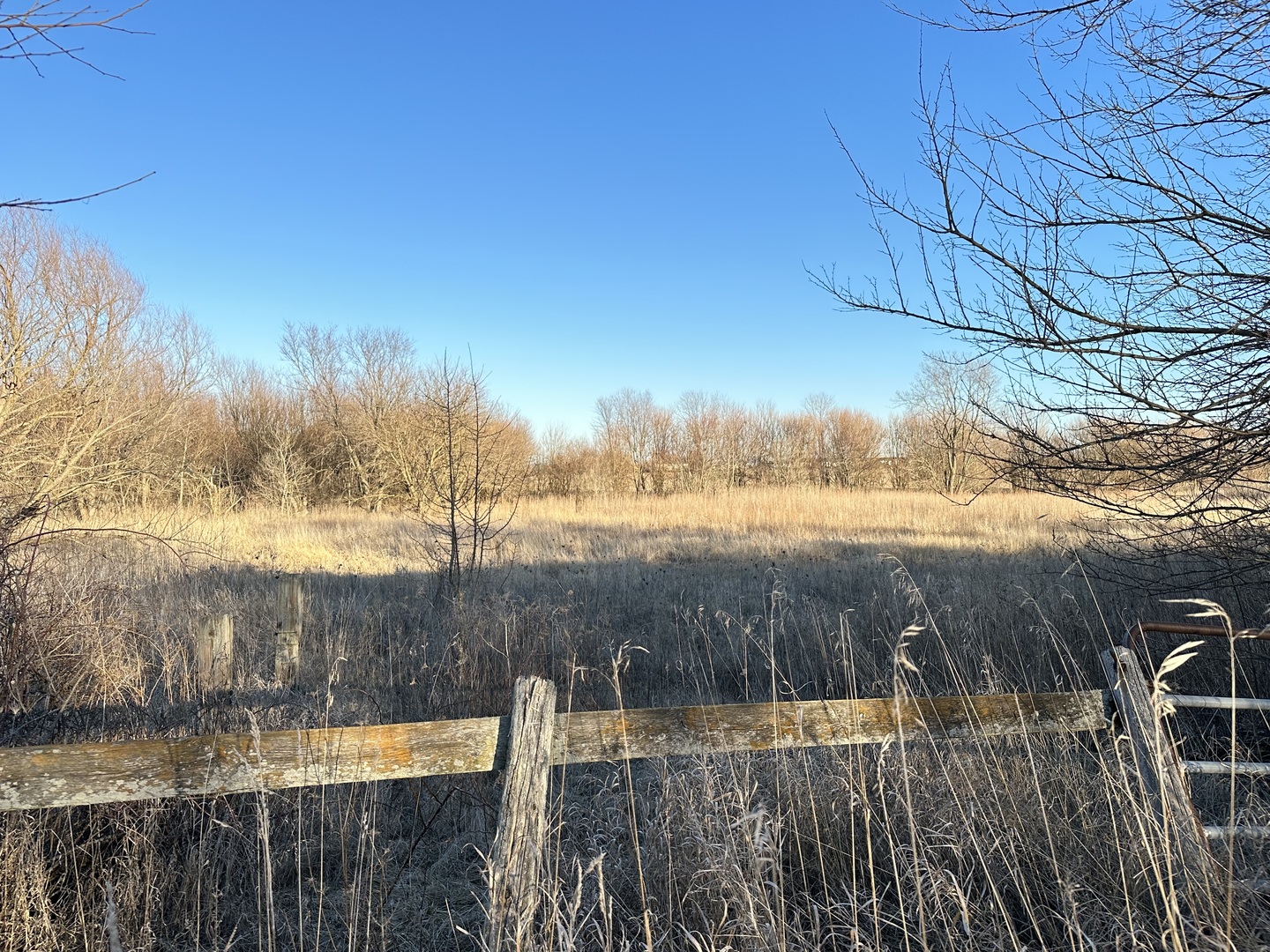 27257 South Scheer Road Manhattan, IL 60442 - Photo 7 of 41 a view of lake with mountain in the background