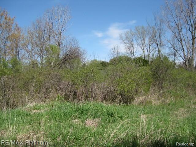 16-17 & 1 Golf Club Road Howell, MI 48843 - Photo 3 of 4