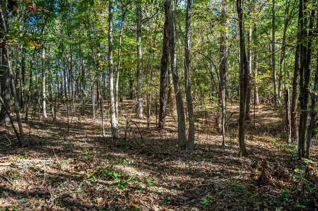 a view of outdoor space with trees