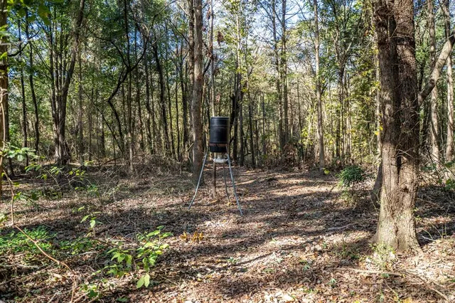 a view of outdoor space with trees