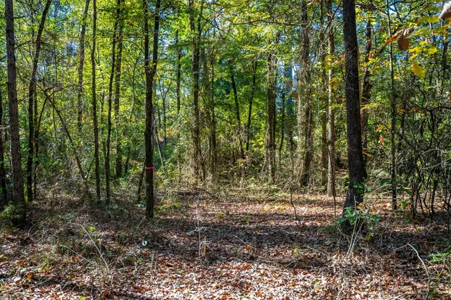 a view of outdoor space and trees