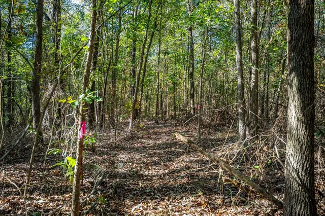 a view of outdoor space