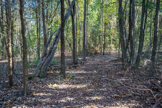 a view of outdoor space and green space