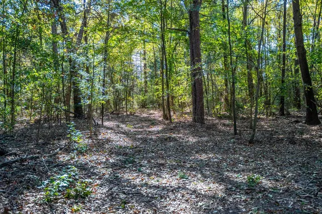 a view of outdoor space and green space