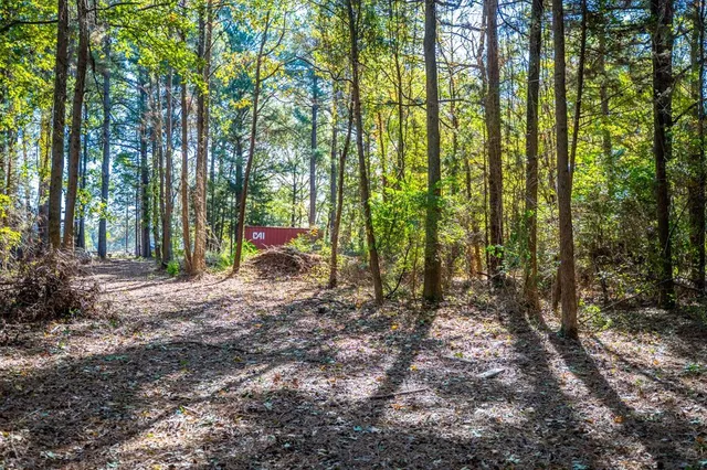 a view of outdoor space with deck and yard