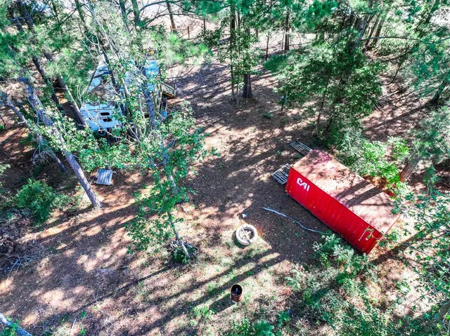 a view of a tree with a tree