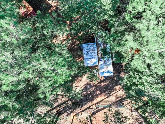 a sign that is sitting in a forest