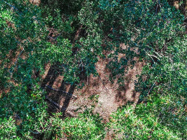 an aerial view of residential house with outdoor space and trees all around