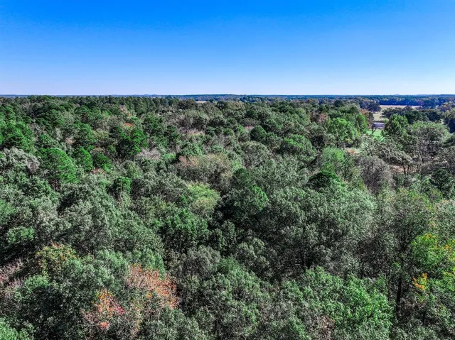 an aerial view of residential houses with outdoor space and trees