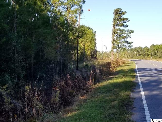 Tbd1 Airport Road Loris, SC 29569 - Photo 11 of 27 Gallery Image 11