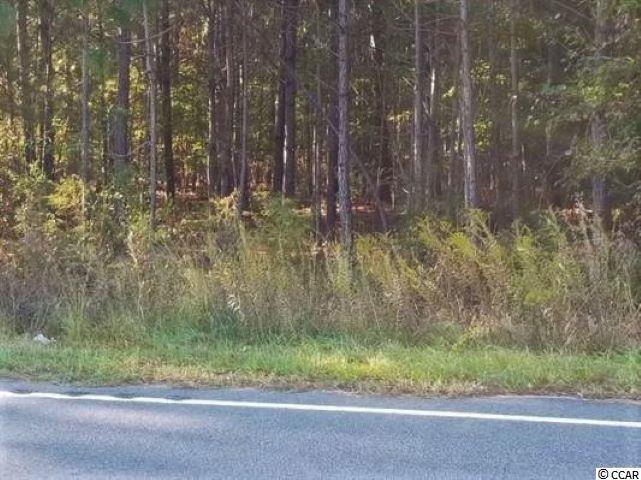 Tbd1 Airport Road Loris, SC 29569 - Photo 12 of 27 Gallery Image 12