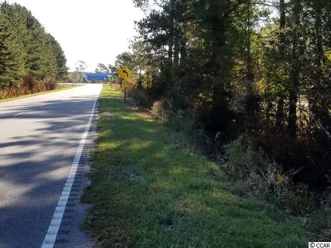 Tbd1 Airport Road Loris, SC 29569 - Photo 14 of 27 Gallery Image 14