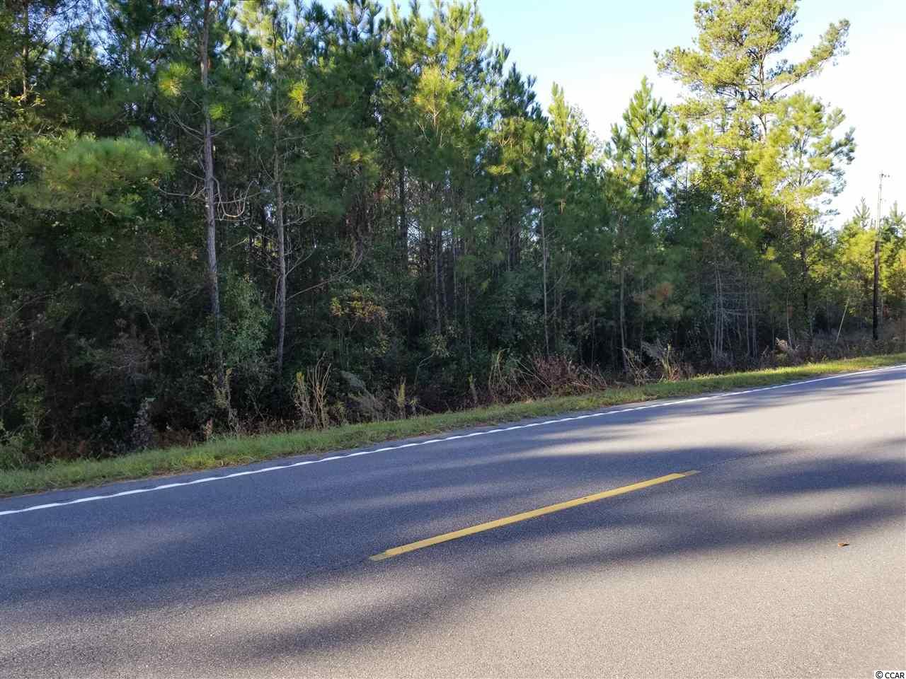 Tbd1 Airport Road Loris, SC 29569 - Photo 16 of 27 Gallery Image 16