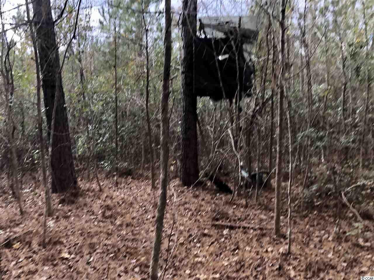 Tbd1 Airport Road Loris, SC 29569 - Photo 17 of 27 Gallery Image 17