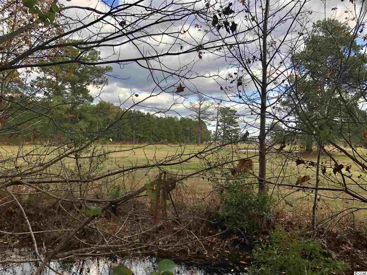 Tbd1 Airport Road Loris, SC 29569 - Photo 19 of 27 Gallery Image 19