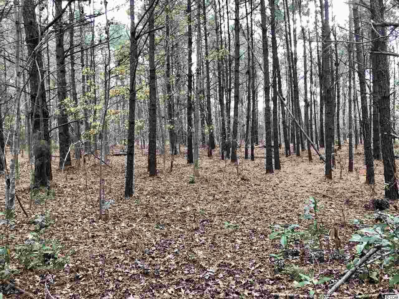 Tbd1 Airport Road Loris, SC 29569 - Photo 20 of 27 Gallery Image 20